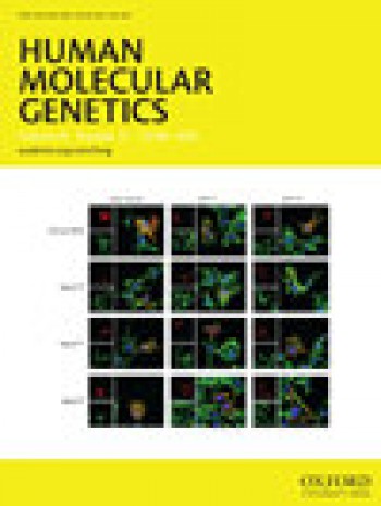 人类分子遗传学