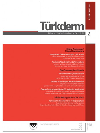 Turkderm-土耳其皮肤病学和性病学档案